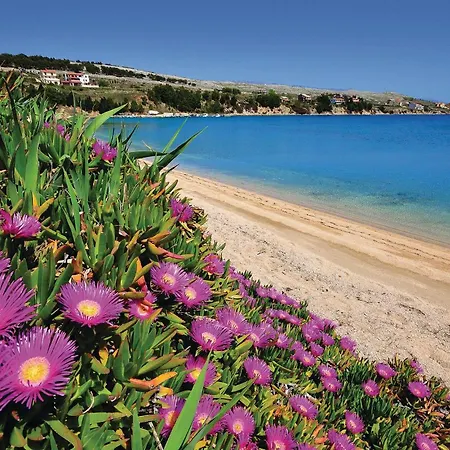 Pet Friendly Apartment In Pag With Wifi Bosana