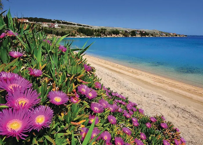 1 Bedroom Awesome In Pag Bosana